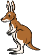 カンガルー